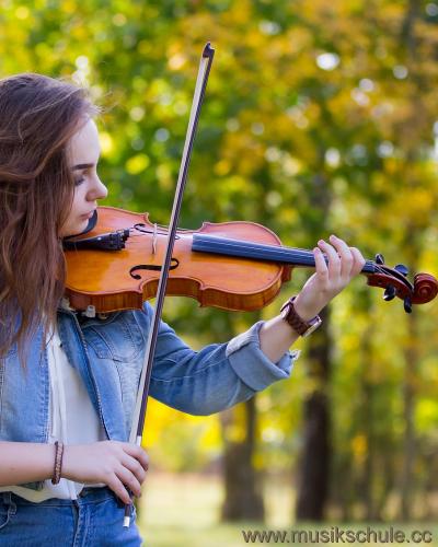Violine Geigenunterricht